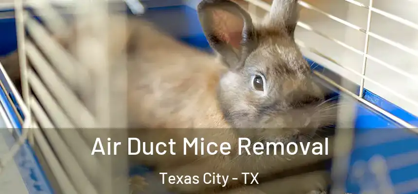 Air Duct Mice Removal Texas City - TX