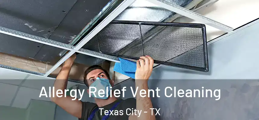  Allergy Relief Vent Cleaning Texas City - TX
