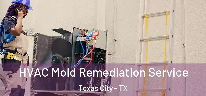  HVAC Mold Remediation Service Texas City - TX