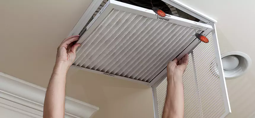 Preventive Cockroach-Proofing for Ducts in Texas City