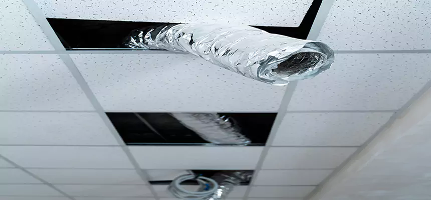 Affordable HVAC Sanitizing After Pest Removal in Texas City