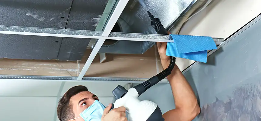 Our Air Duct Rodent Removal Services in Texas City, TX