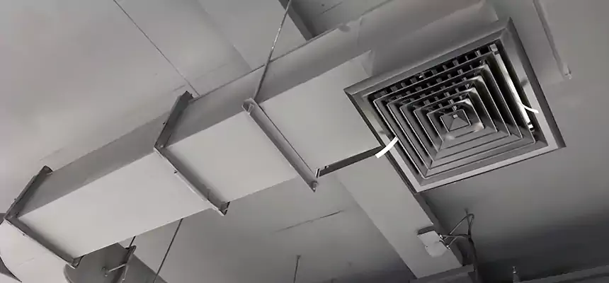 Restorative Allergy Relief Vent Cleaning – Coil, Blower & Housing Detail in Texas City