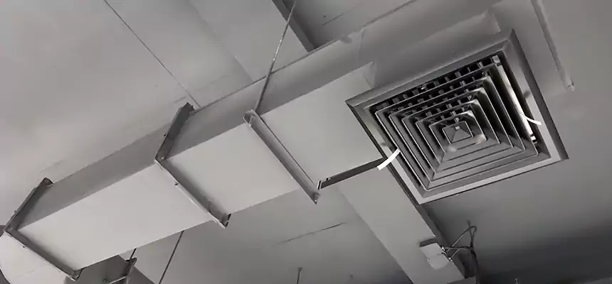 Our Pest Removal From Ducts Services in Texas City, TX