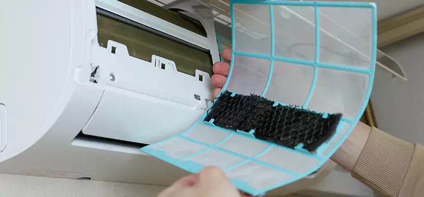 Gentle Ductwork Odor-Control Pet Dander Duct Cleaning in Texas City, TX