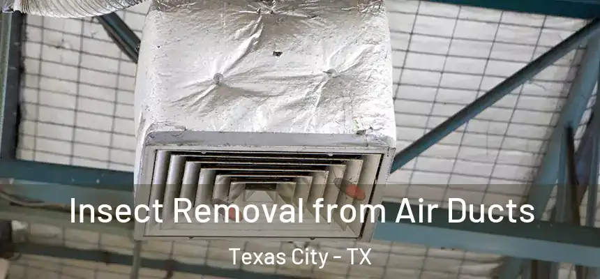 Insect Removal from Air Ducts Texas City - TX