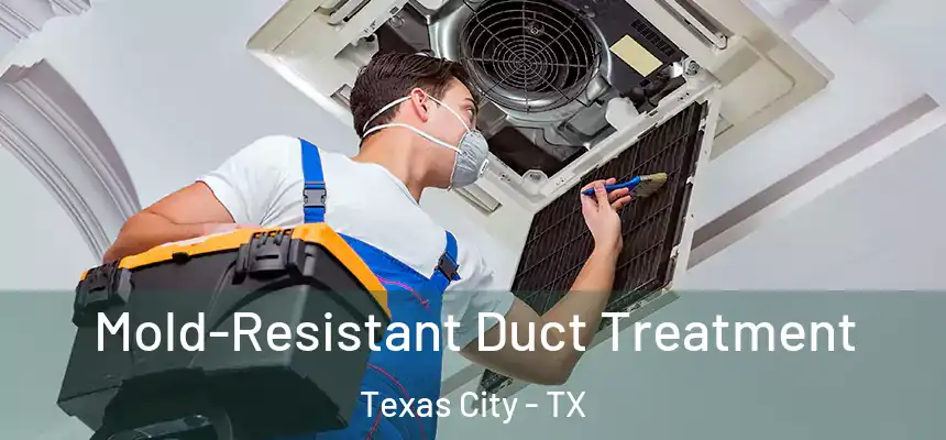Mold-Resistant Duct Treatment Texas City - TX