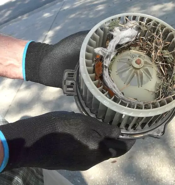 About Air Duct Mice Removal in Texas City, TX