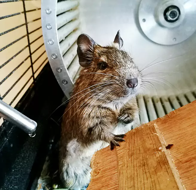 Why Homeowners & Businesses Trust Us Texas City, TX