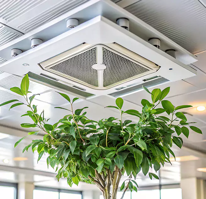 Why Homeowners & Businesses Trust Us in Texas City, TX?