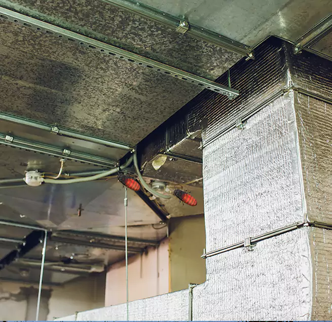 Why Homeowners & Businesses Trust Us Texas City, TX?